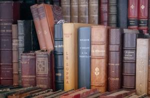 Foto di libri antichi allineati in uno scaffale.